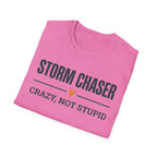 Crazy, Not Stupid T-Shirt